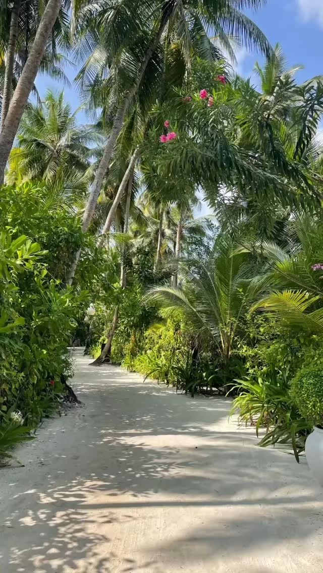 24hrs at @sunsiyamvilureef Maldives! 

Ready to play tomorrow night for this special Valentine’s weekend… 💕🎷

@sunsiyamresorts 
#sunsiyam
#vilureef 
#maldives 
#valentinesday 
#saxophone